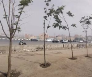 الجيزة تواصل التوسع في التشجير.. زراعة أشجار بالطريق الدائري من المريوطية حتى عثمان محرم