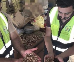 ضبط 600 كيلو بن مغشوش بـ«نواة البلح» قبل وصولها للمواطنين في الغربية