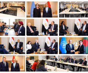 نشاط مكثف لوزير الخارجية خلال الجمعية العامة للأمم المتحدة: حضور مصري فاعل على الساحة متعددة الأطراف