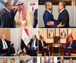 نشاط مكثف لوزير الخارجية خلال الجمعية العامة للأمم المتحدة بشأن القضايا العربية
