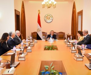 وزير الخارجية يؤكد أهمية تعظيم الاستفادة من الهجرة النظامية لتوفير فرص عمل لائقة للمصريين