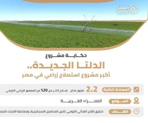 الدلتا الجديدة.. مشروع قومي يعيد رسم خريطة الإنتاج الزراعي في مصر