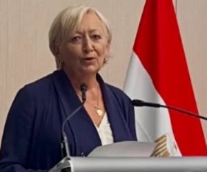 الشيوخ الفرنسى: مصر تشهد برامج تنموية تفتح آفاقا أمام الشركات الفرنسية