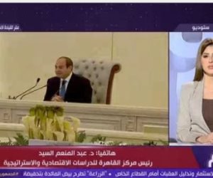 عبد المنعم السيد: الاضطرابات الجيوسياسية رفعت أعباء الاقتصاد المصري