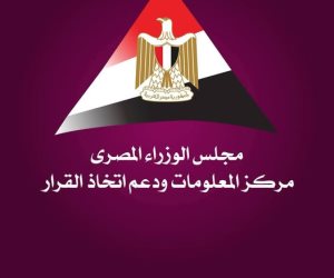 معلومات الوزراء: الطاقة الشمسية تتحول إلى محرك للاستثمار والتصنيع وأمن الطاقة في الاقتصادات الناشئة والنامية
