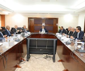 وزير الزراعة يبحث مع غرفة استصلاح الأراضي الصحراوية سبل دعم الاستثمار الزراعي