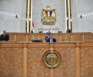 نائب بالشيوخ: مواجهة الشائعات تبدأ ببناء الوعي وتكامل دور المؤسسات