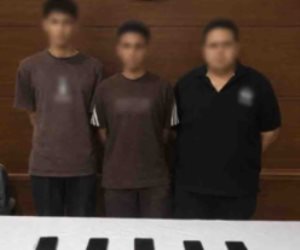 ضبط 3 أشخاص بالبحيرة لقيامهم بالترويج لبيع البيانات أرقام هواتف عملاء شركات الاتصالات بمقابل مادي 