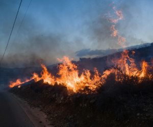 حزام نار إسرائيلي يلف جنوب لبنان ويدمر القطاع الزراعي.. و"الفاو" تعاين حجم الأضرار