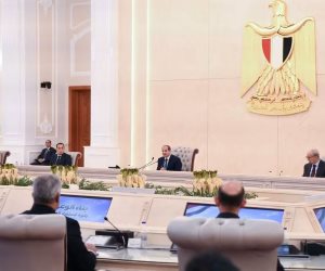 يوسف أيوب يكتب: معادلة حماية الدولة: موارد مستغلة.. ثقة متبادلة.. وعي شعبي