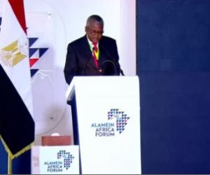 رئيس أفريكس بنك: مصر شريك رئيسي في مستقبل أفريقيا ودعم التجارة البينية بالقارة