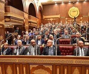 تنسيقية شباب الأحزاب تحصد 3 مقاعد بهيئات مكاتب لجان الشيوخ