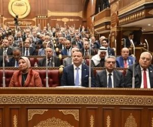 مصادر برلمانية: هشام الششتاوى رئيسًا للجنة الصحة والسكان بمجلس الشيوخ