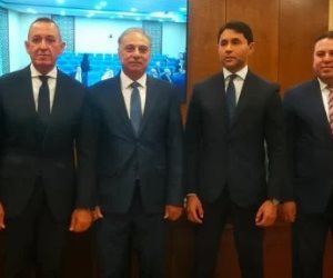 محمد كمال رئيسا للجنة العلاقات الخارجية بمجلس الشيوخ