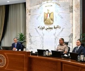 مجلس الوزراء: من نصر أكتوبر لتنمية سيناء.. ملحمة متواصلة لحماية الأرض وتعميرها.. فيديو