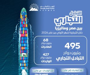 الإحصاء: 13.3% ارتفاعًا في قيمة الصادرات المصرية إلى ماليزيا خلال الثمانية أشهر الأولى من 2026