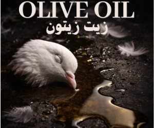 اليوم بمركز الهناجر للفنون .. القومى للسينما ينظم عرض 4 أفلام قصيرة بنادى السينما المستقلة 