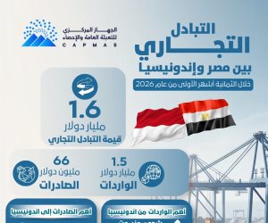 الإحصاء: 1.6 مليار دولار قيمة التبادل التجاري بين مصر وإندونيسيا خلال الثمانية أشهر الأولى من عام 2026