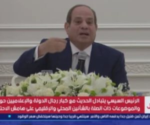 الرئيس السيسي: استهداف السعودية يؤثر على الأمن القومى العربى والمصرى