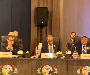 وزير الخارجية يلقي كلمة مصر في اجتماعات الدورة الـ 52 لمجلس وزراء خارجية منظمة التعاون الإسلامي