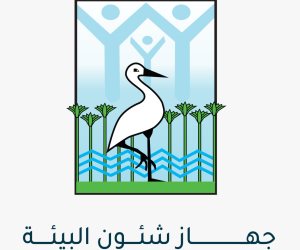 البيئة تعلن السيطرة على حريق بشونة لتخزين قش الأرز بقرية سلكا بالمنصورة