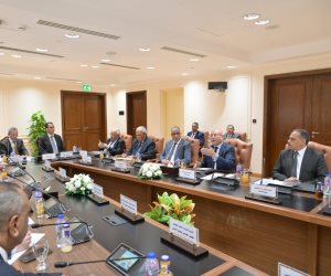 قانون الإدارة المحلية الجديد أمام البرلمان.. المحافظون يطالبون بتوسيع اللامركزية وحسم تضارب الاختصاصات