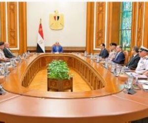 حزب المستقلين الجدد: بيان مجلس الدفاع الوطني كاشف ومحدد لموقف مصر الراسخ تجاه أمن السعودية