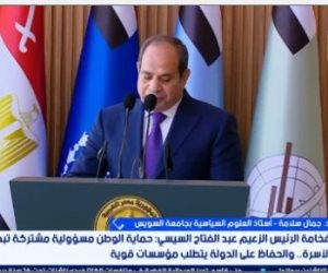 جمال سلامة: الموقف المصري الداعم للسعودية يحمي الملاحة بالبحر الأحمر