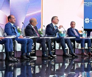 فخامة الرئيس السيسى: الدولة تتحمل الجزء الأكبر من تكلفة الطاقة الحقيقية