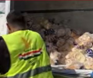 اللجنة المصرية توزع الخبز على الفلسطينيين في شمال قطاع غزة (فيديو)
