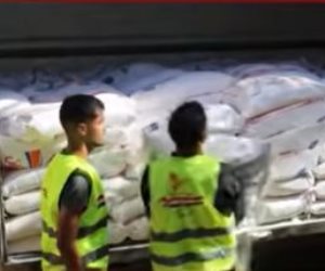 اللجنة المصرية تواصل توزيع الدقيق والمواد الغذائية على الأسر في مختلف مناطق قطاع غزة (فيديو)