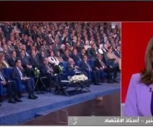 خبير اقتصادي: تطوير شبكات الكهرباء يعزز الاستثمار ومكانة مصر الإقليمية