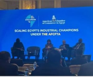 محمد قاسم: 7.6 مليار دولار صادرات مصر إلى إفريقيا خلال 2025