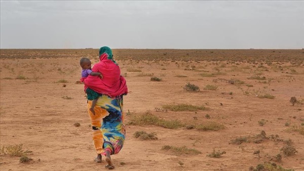 الجفاف يتسبب في انعدام الأمن الغذائي لـ 36 مليون أفريقي