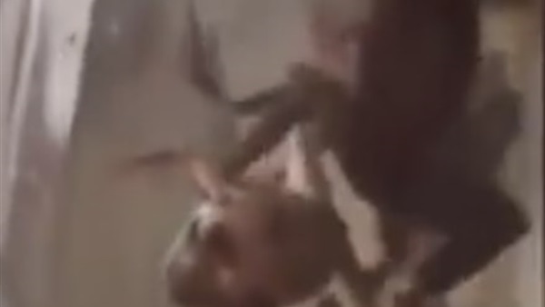 بالفيديو: صيني يشرب إبريق ماء تسبح فيه الضفادع