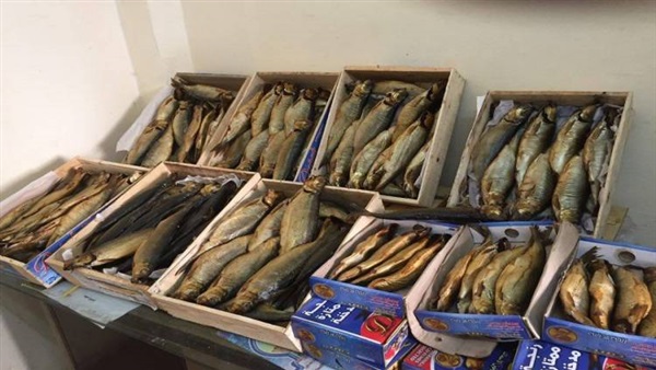 ضبط 2 طن  «فسيخ» فاسد داخل مصنع بالجيزة 