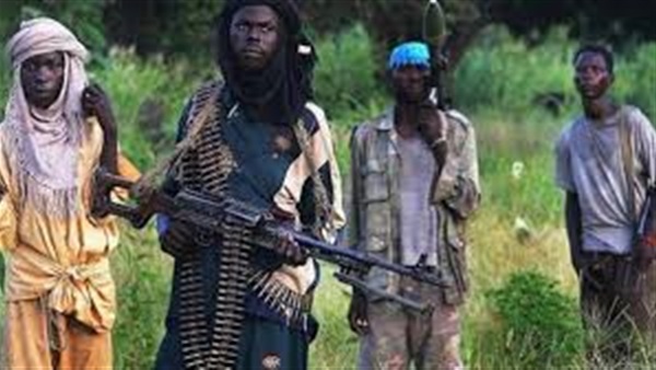 السودان: الكشف عن كميات ضخمة من الأسلحة المتطورة في دارفور