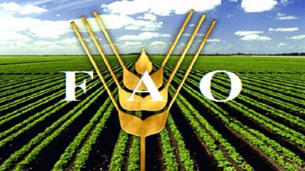 قروض متناهية الصغر لمشروعات الأمن الغذائي للأسر البسيطة بالفيوم 
