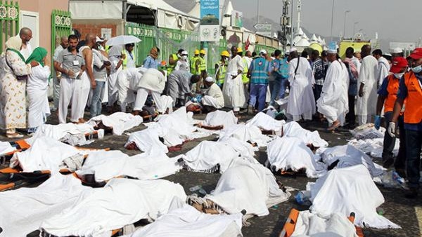«الصحة»: استقبال 48 أسرة من أهالي  المفقودين بمنى لسحب «دي إن إيه» 