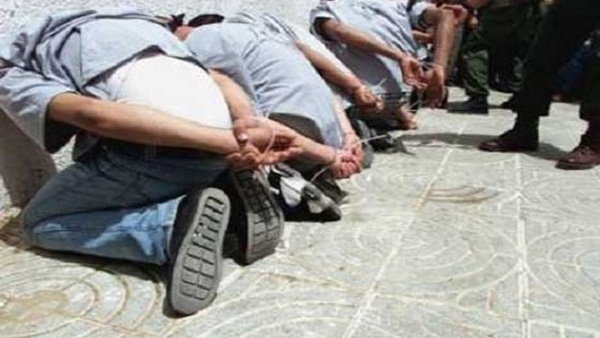 شملول مغاغة سقط بالعجل المسروق داخل سيارة ملاكي بالفيوم