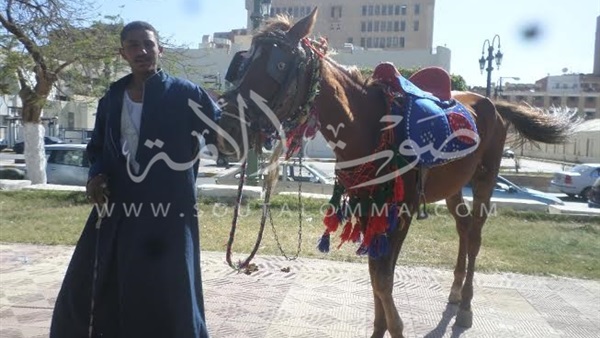 بالصور.. الأهالي يحتفلون  بشم النسيم في الحدائق والمتنزهات بمحافظات مصر