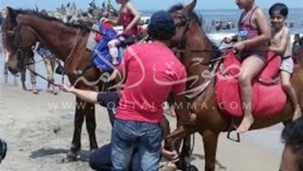 بالصور.. إستياء المصطافين بمصيف بلطيم لوجود «حصان» على الشواطئ 