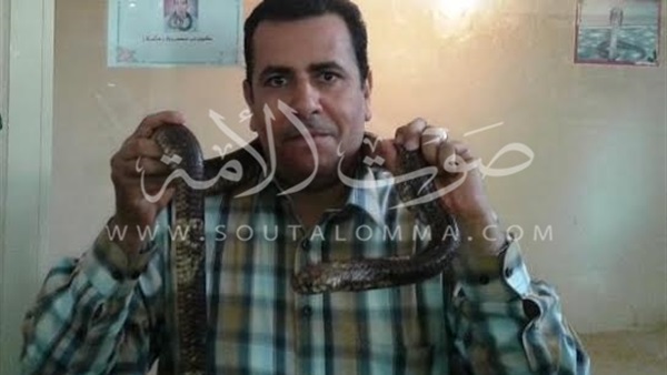 بالصور.. «الكوبرا» تشعل احتفالات حديقة الحيوان بأعياد الربيع