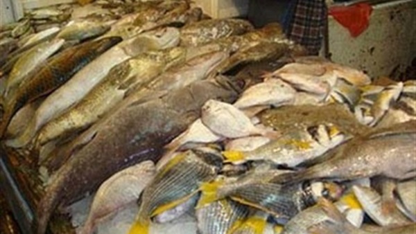 ضبط سردين وفسيخ ولحوم مجمدة غير صالحه بالفيوم 