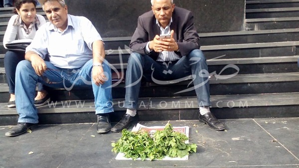 بالفيديو.. «صحفي» يغيير مهنته لبائع «جرجير» بعد اقتحام «الصحفيين»