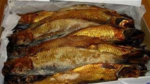 ضبط مصنع رنجة غير صالحة للاستخدام الآدمي في القليوبية