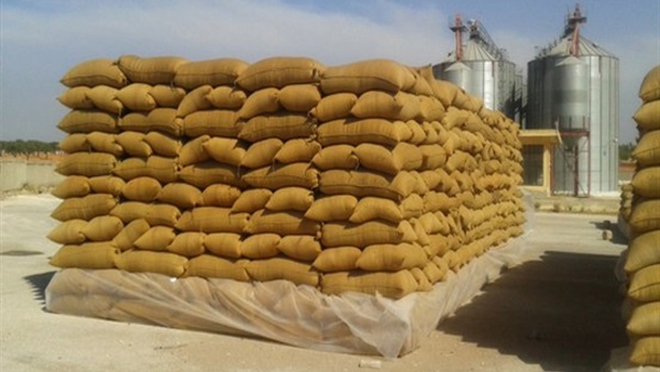 توريد 27 ألفا و500 طن قمح بصوامع كفر الشيخ 