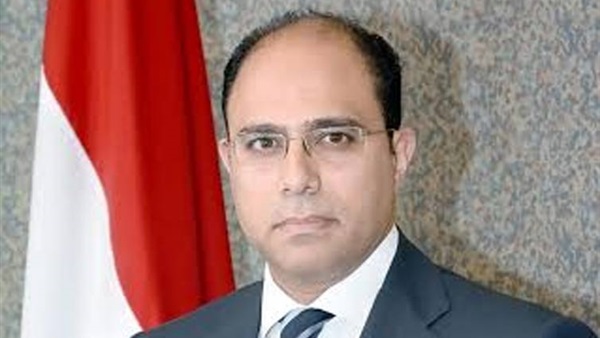 «الخارجية»: ناقشنا مع النواب ملف الاعتداءات على المصريين بالخارج