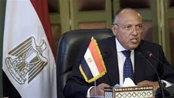  بالفيديو.. الخارجية: حان لإفريقيا  الحصول على مكانتها 