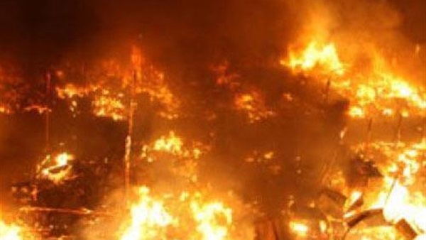 السيطرة على حريق فى محصول بنجر بالفيوم  